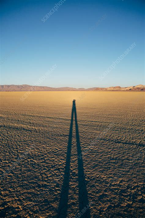 Man Standing In The Desert Nevada Usa Stock Image F0184478
