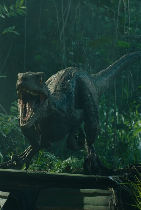 The official website for jurassic world with news, videos, events, and more. Jurassic World: Fallen Kingdom after end credit scene ...
