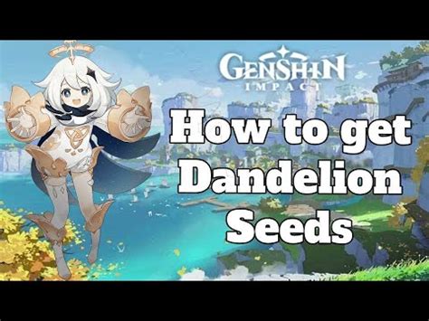 Hello guys, i am a rpg gamer. Genshin Impact - How to get Dandelion Seeds - YouTube