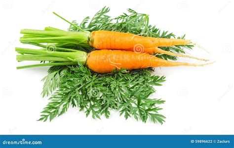 Bunch Of Baby Carrots Isolated Stock Photo Image Of Front Gourmet