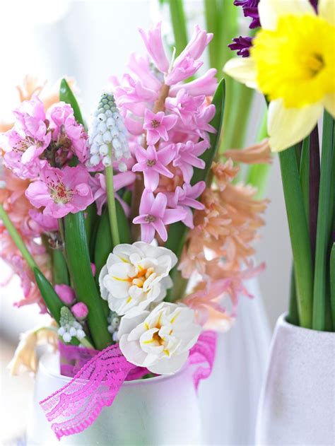 Maybe you would like to learn more about one of these? Decorate your office with awesome #Spring #Flower bulbs ...