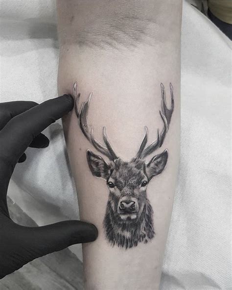 Deer Tattoo Tropisches Tattoo Tatau Tattoo John Tattoo Deer Skull