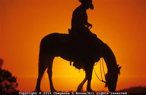 Sunset Silhouette Of Cowboy In Arizona Ancient Light Gallery Horse