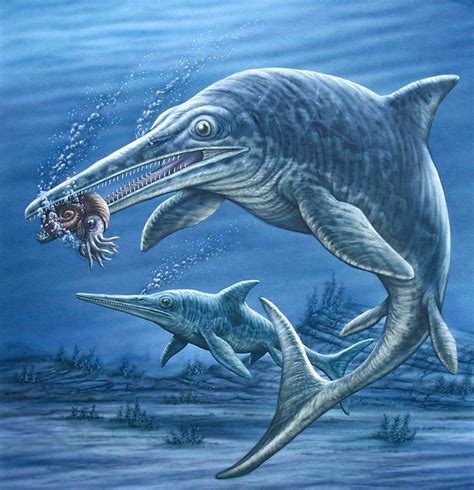 Ichthyosaurus Late Triassic Early Jurassic Rhaetian