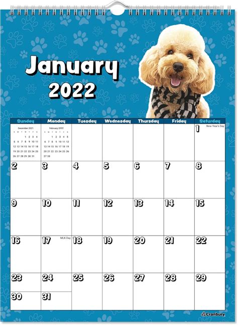 Kalendar Kanak Kanak Cranbury 2022 Anjing Comel Malaysia Ubuy