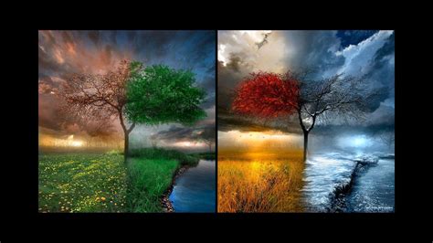 41 Four Seasons Wallpaper