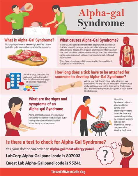 What Is Alpha Gal Syndrome Ticked Off Mast Cells Types Of Food