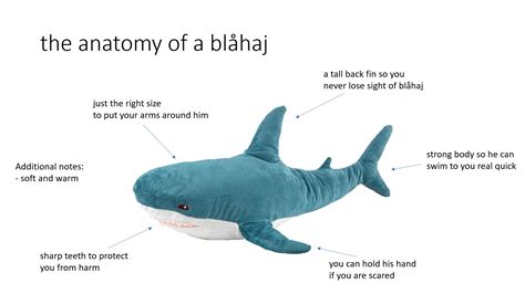 The Anatomy Of A Blåhaj Rblahaj