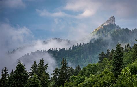 Les 10 Plus Belles Forêts De France Où Se Balader Détours En France