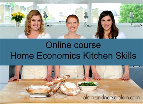 New Home Economics Course For Guys Plain And Not So Plain Home