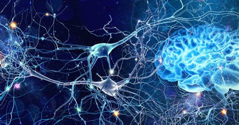 5 Surprising Ways To Increase Neuroplasticity Gut Brain Healing With