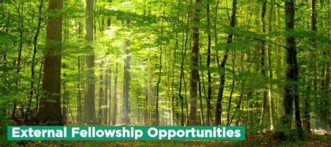 External Fellowship Opportunities Environmental Science And Policy