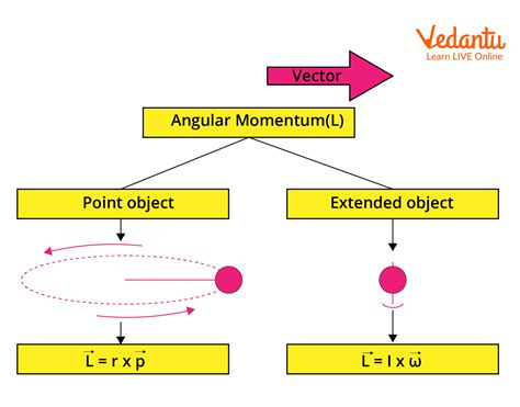 Angular Momentum Of Rotating Body Important Concepts And Tips For Jee