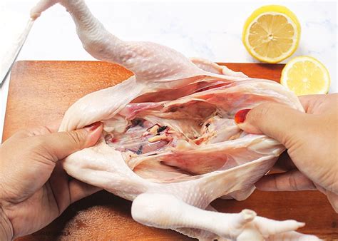 Usaha ternak ayam potong daging ayam merupakan daging favorit di negara kita. Raya Haji Dah Dekat Ni, Sebelum Buat Rendang...Jom Tengok ...