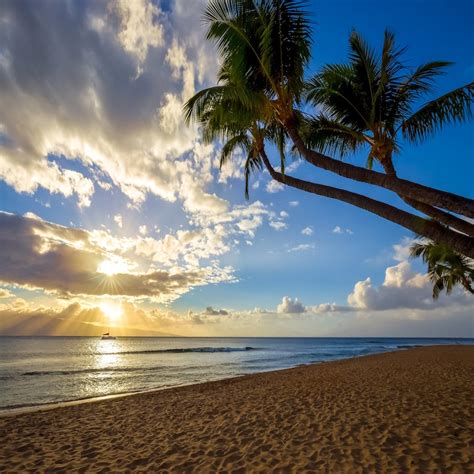Maui Hawaii Sunset Photo Beautiful Paradise Beach Photograph Etsy