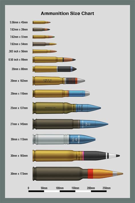 Vintage Outdoors Another Nice Ammo Size Comparison Chart Cloud