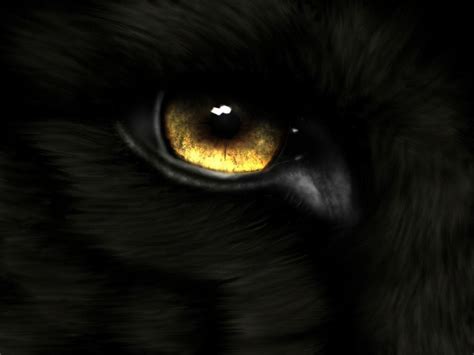 Awesome Alpha Wolf Eyes Wallpaper Pictures