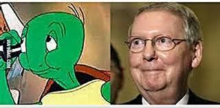 Browse and share the top mitch mcconnell turtle gifs from 2020 on gfycat. cecil the turtle - Google Search | Mitch mcconnell ...