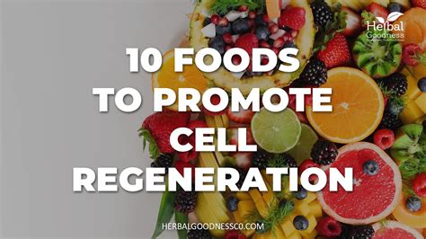 10 Foods To Promote Cell Regeneration Stem Cell Superfoods To Build