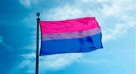 23 De Septiembre Día Internacional De La Bisexualidad