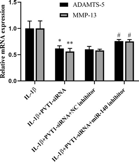 Effect Of PVT1 On ADAMTS 5 And MMP 13 MRNA Expressions By Acting As A