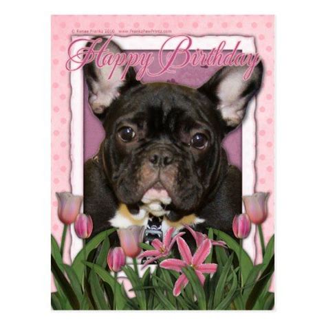 French bulldog information including pictures, training, behavior, and care of french bulldogs and dog breed mixes. Happy Birthday - French Bulldog - Teal Postcard | Zazzle ...