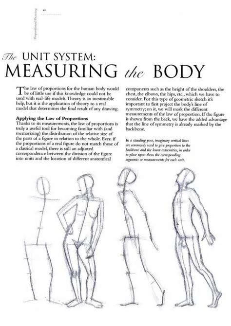 The Art Of Drawing The Human Body