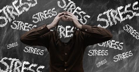 Le stress  bon stress ou stress utile, stress physiologique