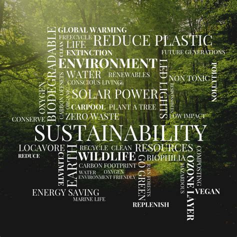 World Environment Day A Glossary Of Sustainability Words You Must Know