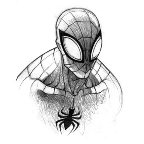 6400450orig 500×500 Spiderman Sketches Spiderman Art Spiderman