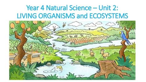 Living Organisms And Ecosystems