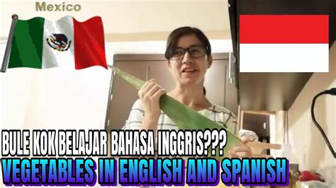 Ayo Belajar Bahasa Indonesia And Inggris Dengan Sayuran I Learn To Speak