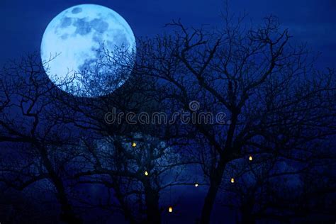 Bright Full Moon With Spooky Tree Branches Background Stock Image