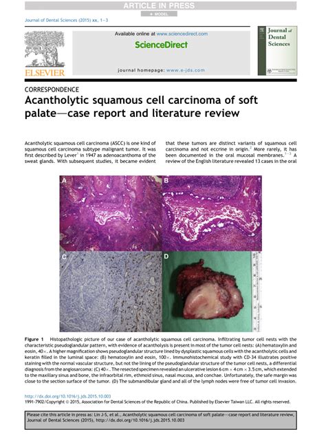 Pdf Acantholytic Squamous Cell Carcinoma Of Soft Palate—case Report