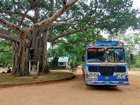 Sri Lanka Buses Traveling Around Sri Lanka On Cheap And Colorful Buses