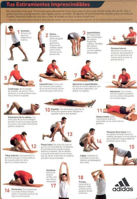 Estiramientos Imprescindibles Correr Pinterest Gym Workout And Stretches Https