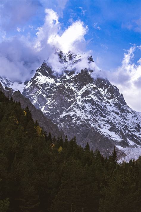 Download Wallpaper 800x1200 Mountain Peak Snow Forest Trees