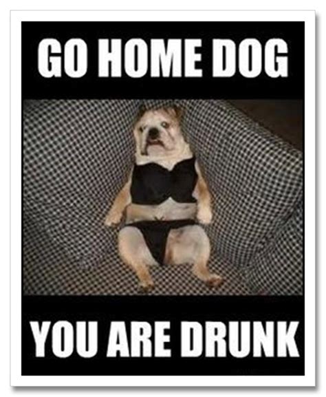 How do people act when drunk? Best "Go Home You Are Drunk" Memes - Them's Fightin' Words ...