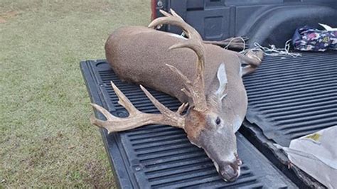 York County Sc Hunter Kills 16 Point Palmated Buck Carolina Sportsman