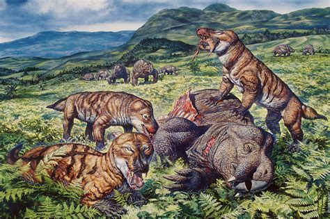 Mammal-Like Reptiles - Stock Image - C004/8049 - Science Photo Library