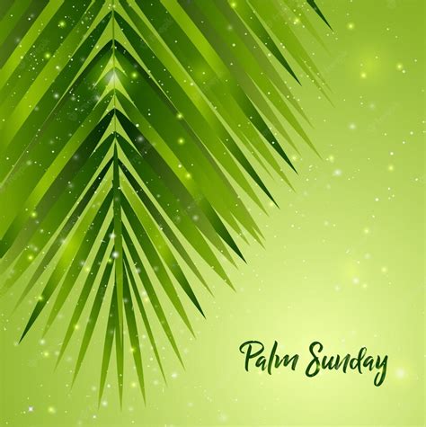 Premium Vector Palm Sunday Background