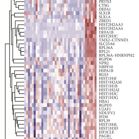Hierarchical Clustering And Heat Map Analysis Of Differentially