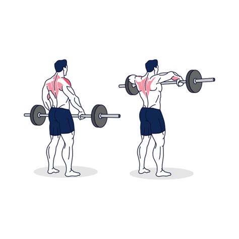 How To Do Barbell Upright Row With Proper Form Simply Fitness