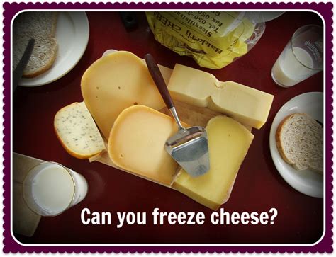 I figure it should last in the fridge for about 1 week but not sure that i'll use it that soon. Can You Freeze Cheese? An Experiment | Delishably