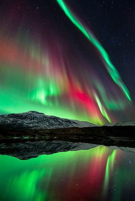 Check out their videos, sign up to chat, and join their community. The Aurora Borealis, over Hogtuva Mountain in Norway ...
