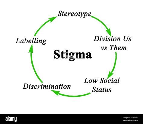 Components Of Cycle Of Stigma Stock Photo Alamy