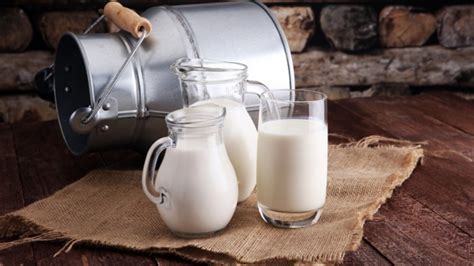Manfaat Susu Unta Untuk Kesehatan Jantung Hingga Kulit