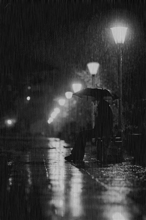 Natureland — Waiting For You Edit Tales Of The Night Rainy Night Rain Photography I Love