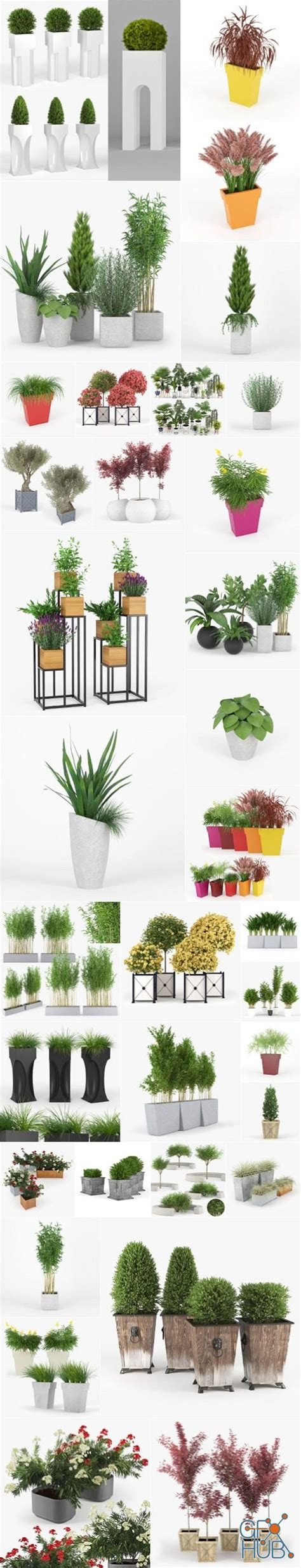 Cgtrader Plants Set 3d Models Collection Pt 3 Uparchvip
