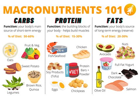 Macronutrients 101 The 3 Most Important Nutrients To Include In Your